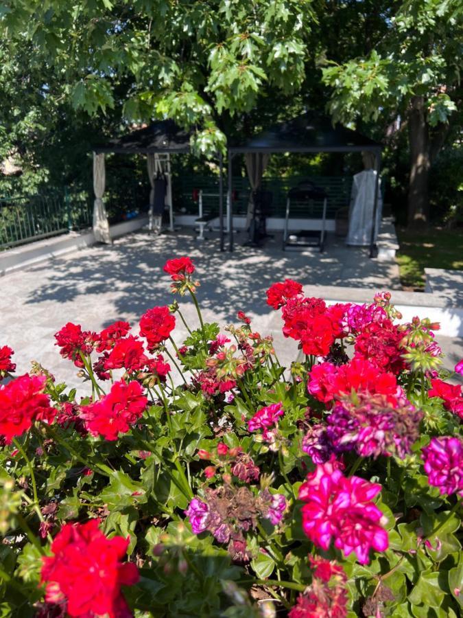 Villa Albina Ρώμη Εξωτερικό φωτογραφία